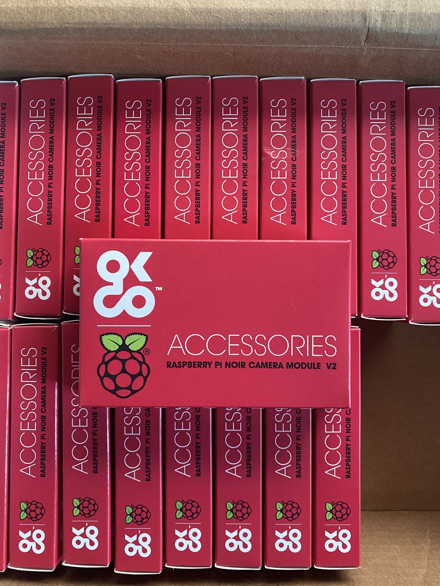 (19) Raspberry PI Noir Camera Module V2