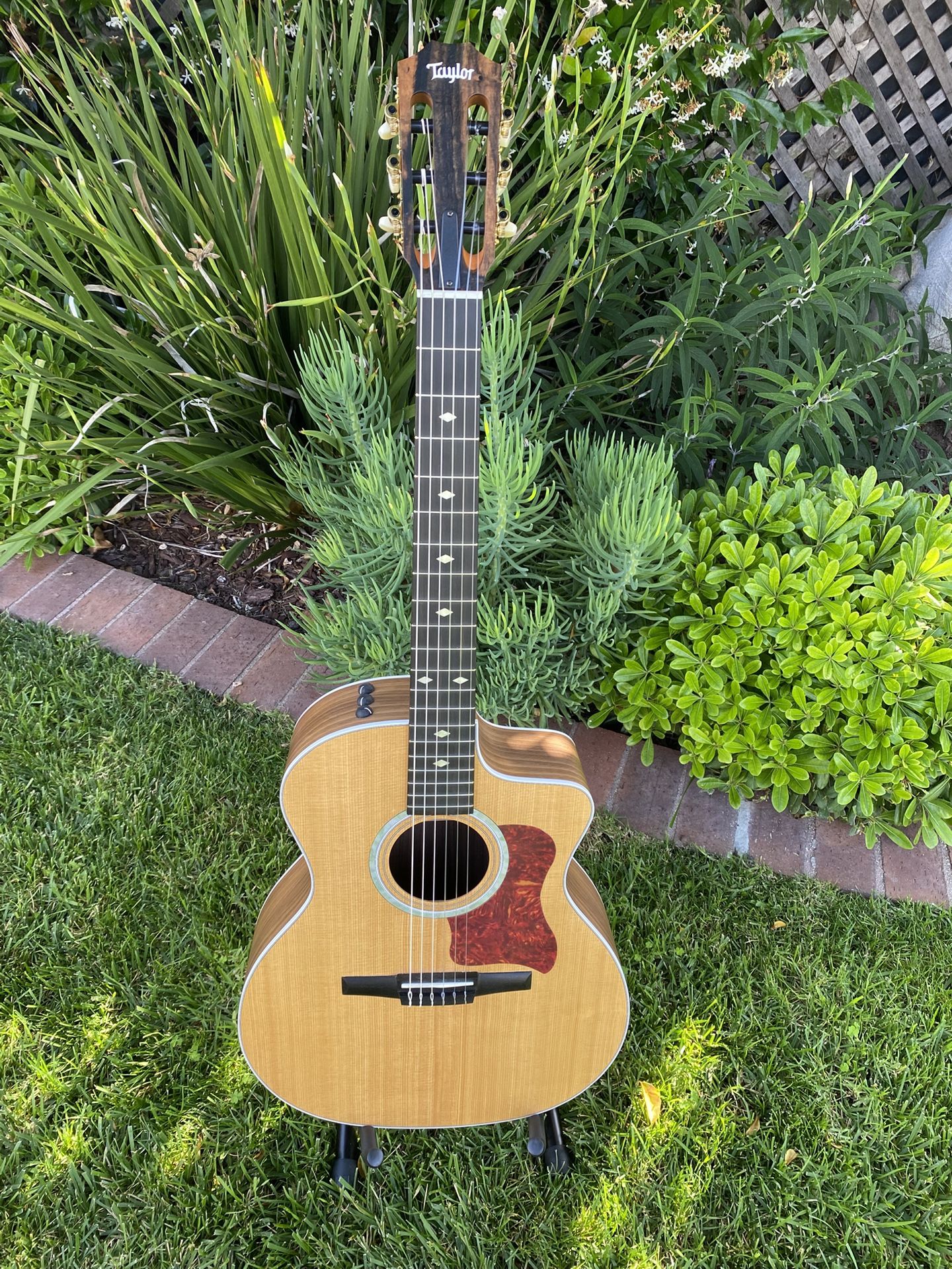 TAYLOR Nylon String Acoustic Electric With Custom Features