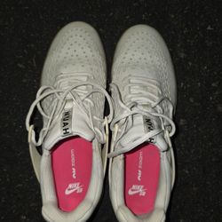 Nike SB Zoom Nyjah 3 Men Shoes Size 11 White Excellent Condition 