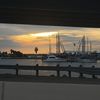 Catalina 
