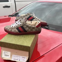 Gucci Shoes 