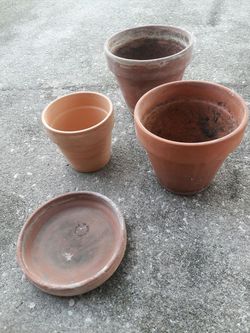 3 claypots and 1 plate