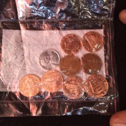 Penny Collection 1895 Through 2010