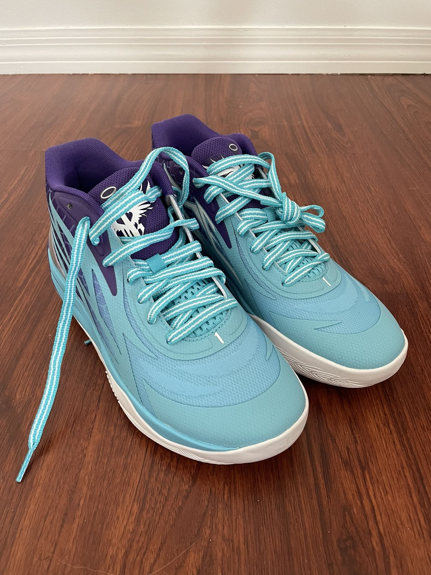 Puma Melos