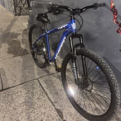 Custom Mountain Bike