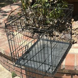 Pet Crate 