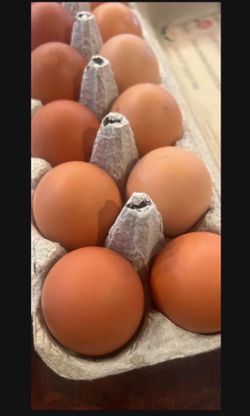 Fresh Pasture Raised Eggs