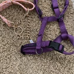 Dog Leashes & Diaper