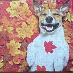 Completed & Glued 300 Piece Puzzles $5 Each
