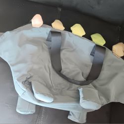 Dinosaur Bag