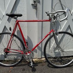 Panasonic DX2000 66cm XXL steel frame 12 speed Road Bike 