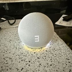 Echo Dot