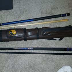 Pool Sticks W/case