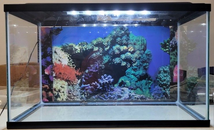 FISH TANK