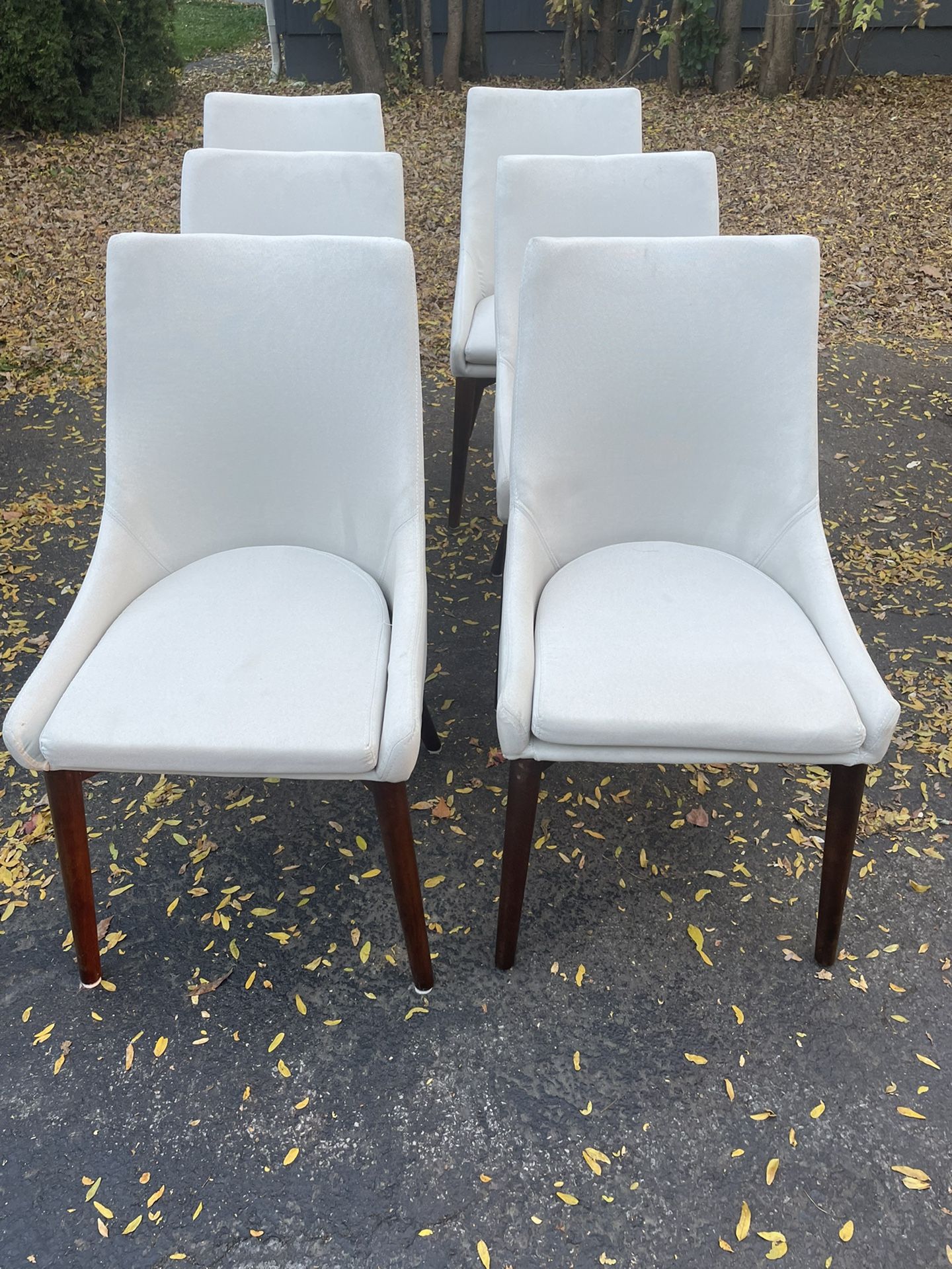 (6) Dining Chairs