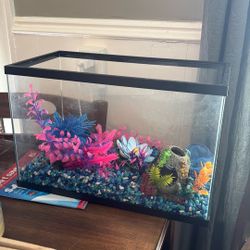 20 Gal Fish Tank No Top Cover