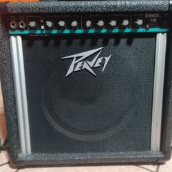 Peavey  Envoy 110 