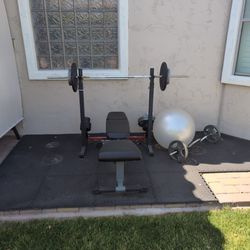 Weight Bench and curl bars and ball