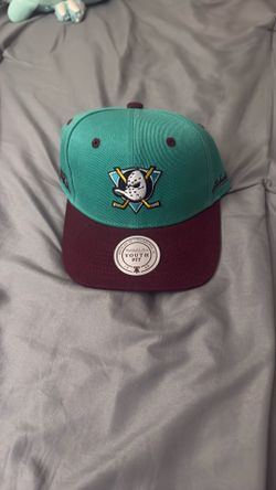 Mighty Ducks of Anaheim 93-94 Season