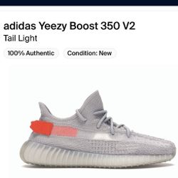 Yeezy Boost 350 V2 Tail Light Size 6