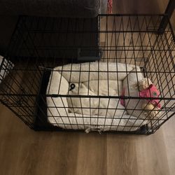 Dog Cage N Bed