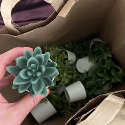 Fake Mini Plants 