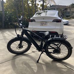 Ebike Dirwin Pioneer Fat Tire Electric Bike