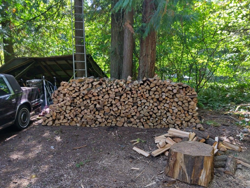 Firewood 