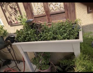 Large succulent planter