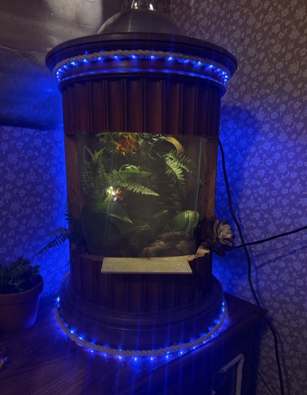 Reptile/animal Custom Enclosures !