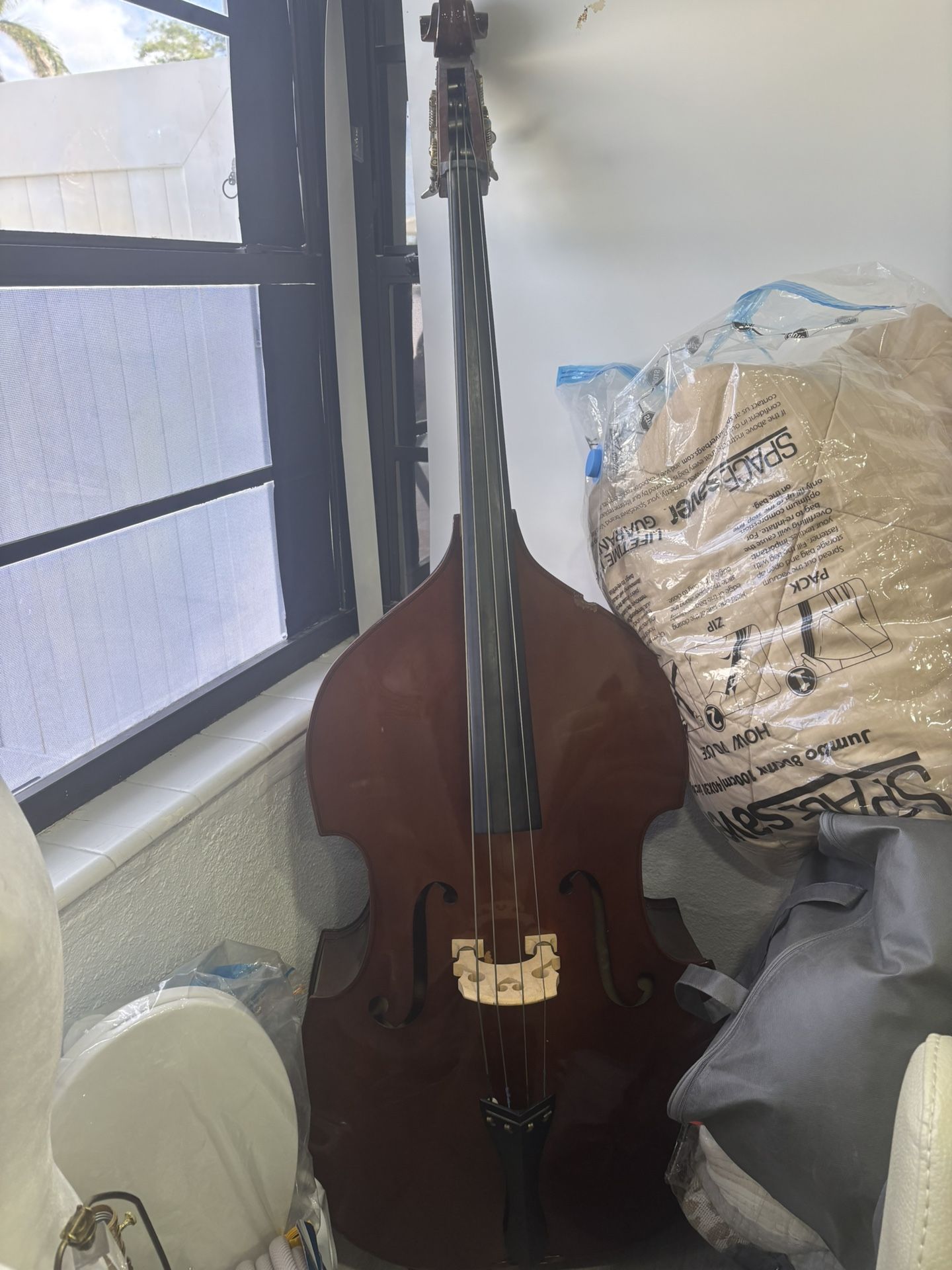 Violins