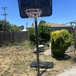 Basket Ball Hoop