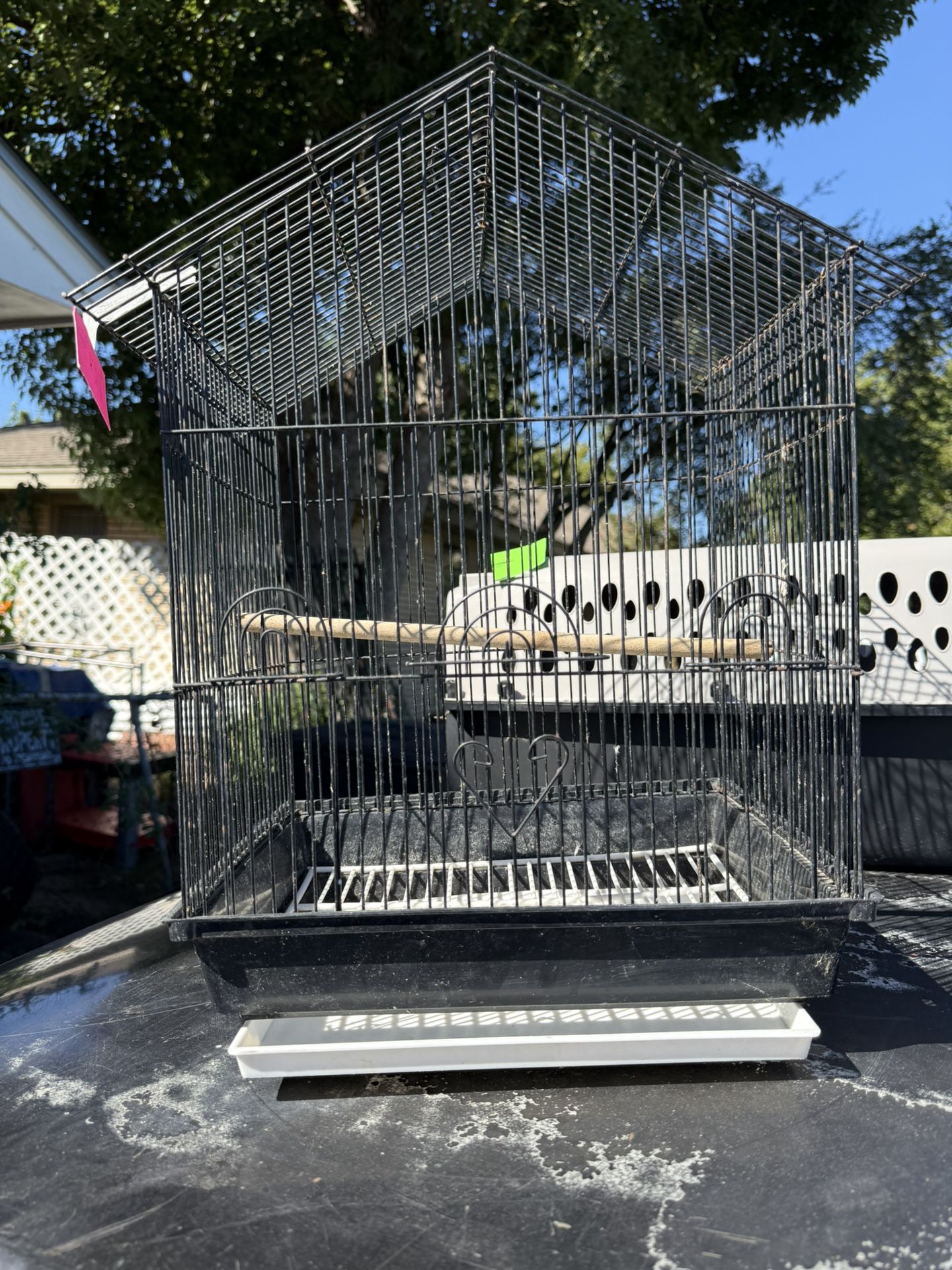 Bird Cage