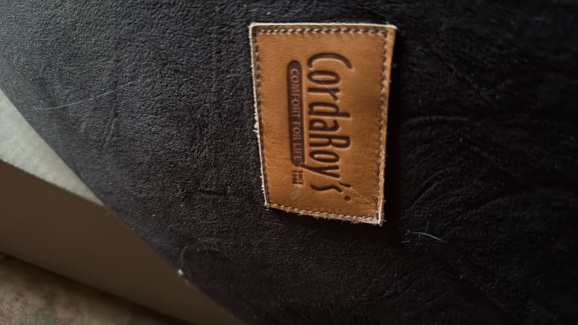 CordaRoys Full Size Bean Bag Chair/bed