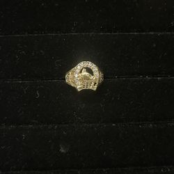 10k Horse Ring