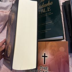 Brand New Catholic Books + Study Bibles (Ignatius, Didache, Brandon Vogt + More)