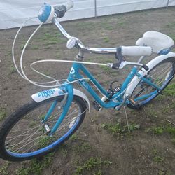 Live Flourish Beach Bike