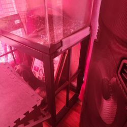 40 Gallon Fish Tank 