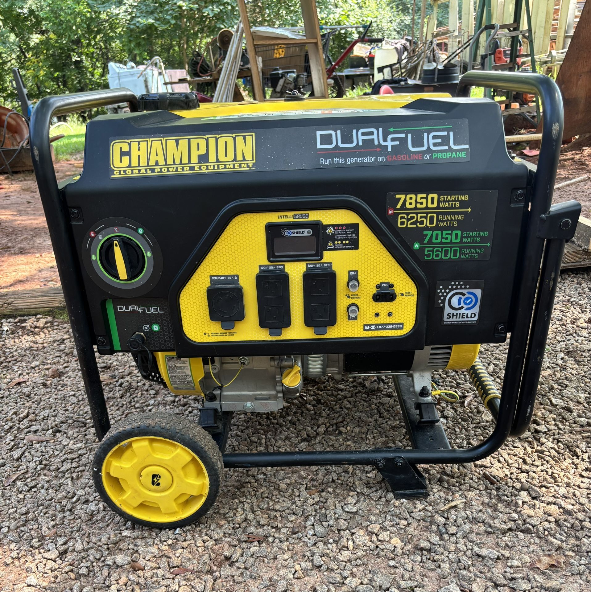 Dual Fuel Champion Generator 
