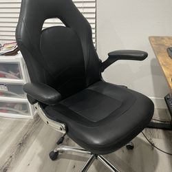 Ergonomic Office / Gaming Chair