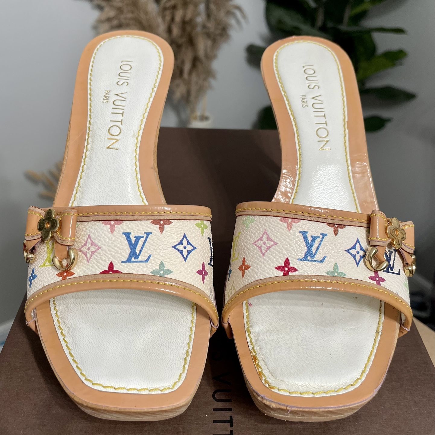 Pre-Owned Louis Vuitton Monogram Multicolor Mule Leather Sandals