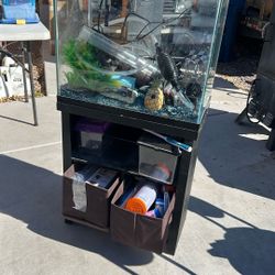 Hollywood And Lake Mead Fish Tank Works With New Filters