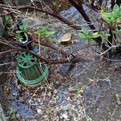 Sprinkler. Repair