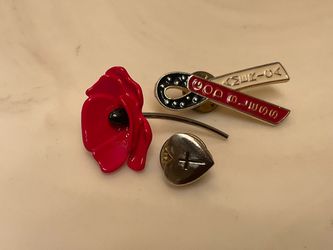 Brooch pins lapel