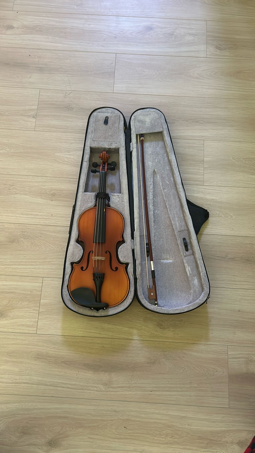 Violin