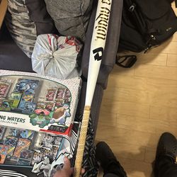 Demarini “Windy City” Softball Bat