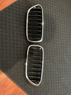 BMW OEM grill