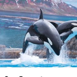 SeaWorld