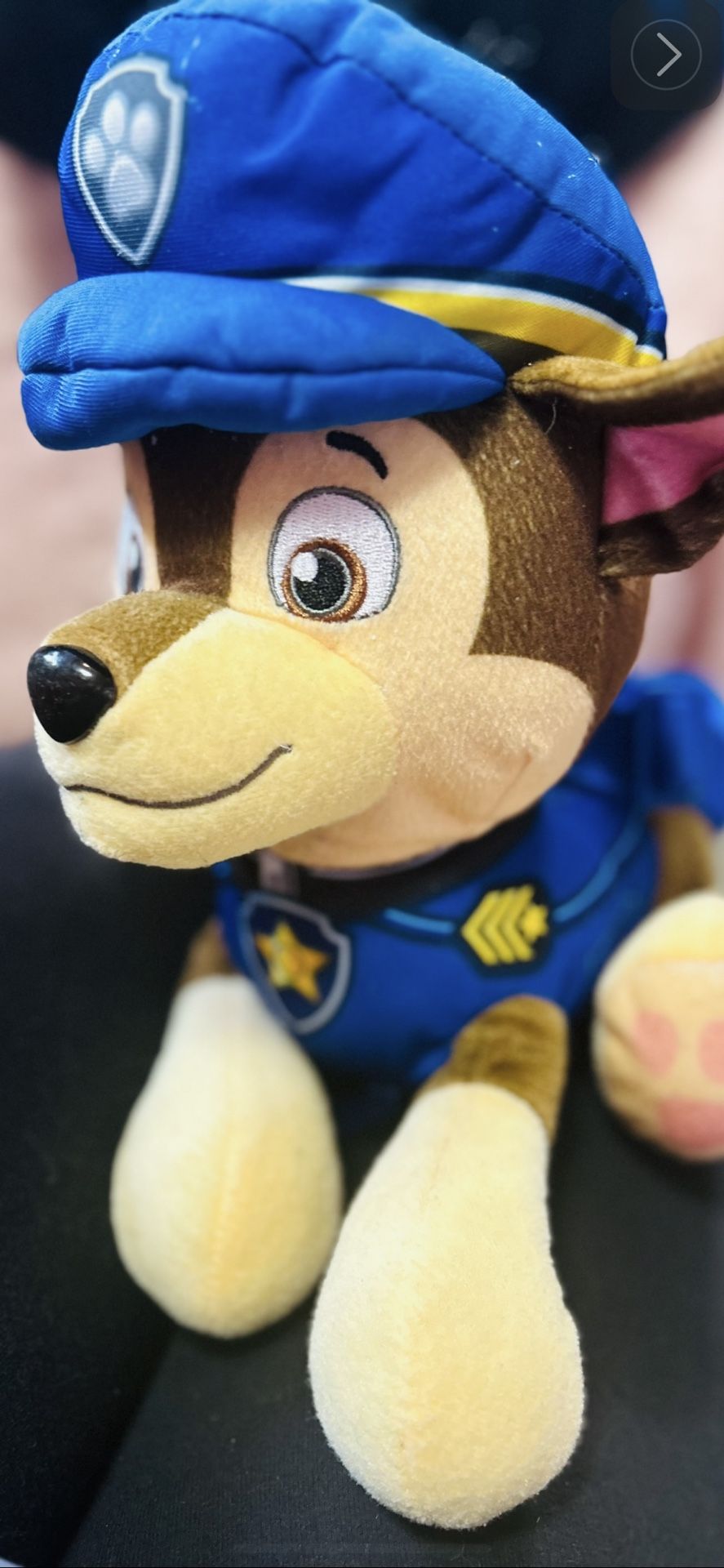 Paw Patrol Backpack $3