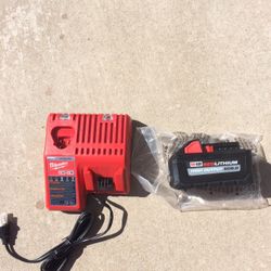 Milwaukee M18 8.0 Battery And Charger 